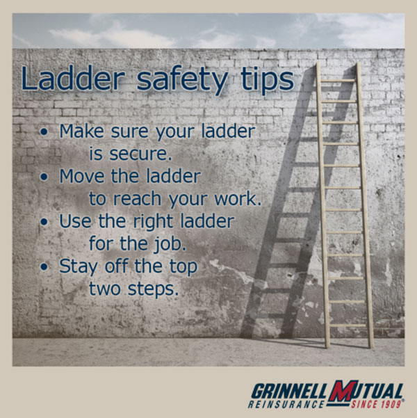 ladder safety guide