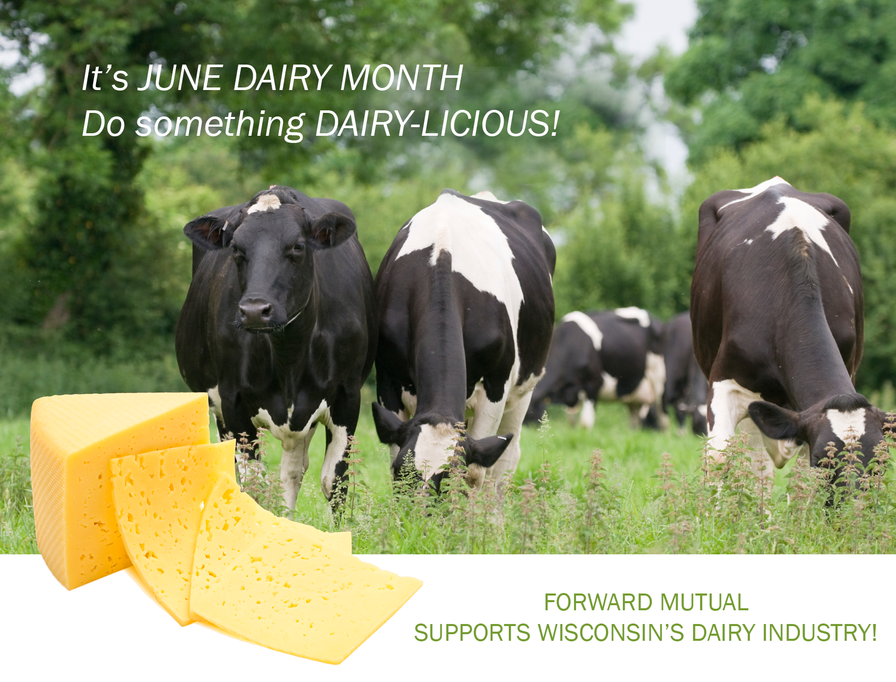 Forward Mutual supports June Dairy Month