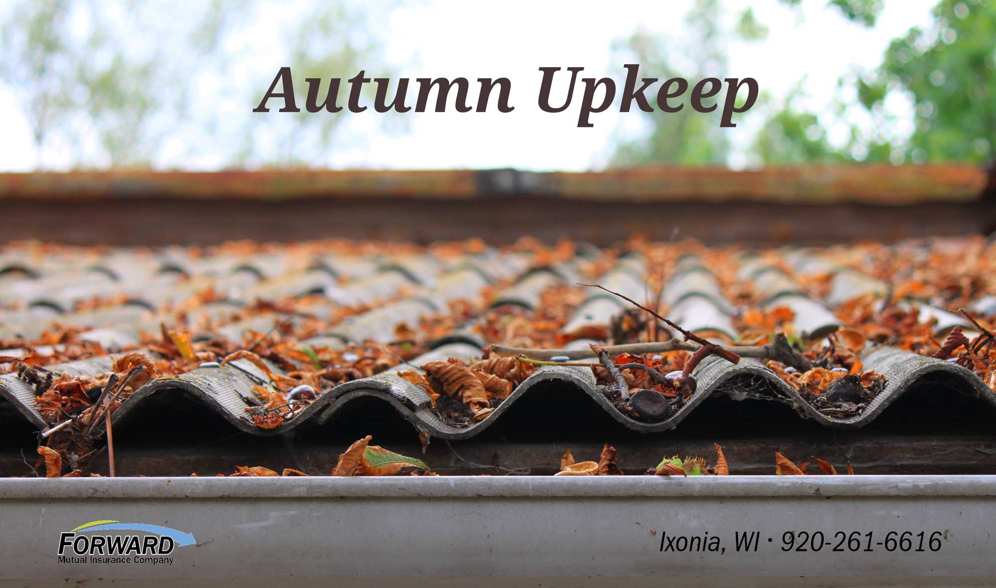 Roof gutters filled with leaves